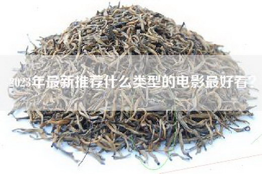 2023年最新推荐什么类型的电影最好看？