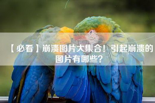 【必看】崩溃图片大集合！引起崩溃的图片有哪些？