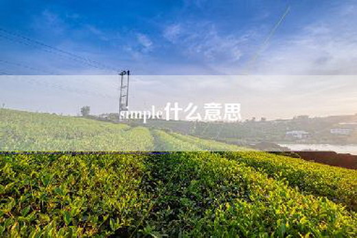 simple什么意思