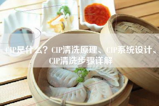 CIP是什么？CIP清洗原理、CIP系统设计、CIP清洗步骤详解