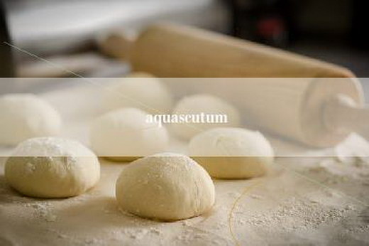 aquascutum