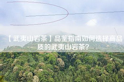 【武夷山岩茶】品鉴指南如何选择高品质的武夷山岩茶？