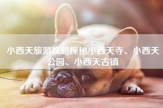 小西天旅游攻略探秘小西天寺、小西天公园、小西天古镇