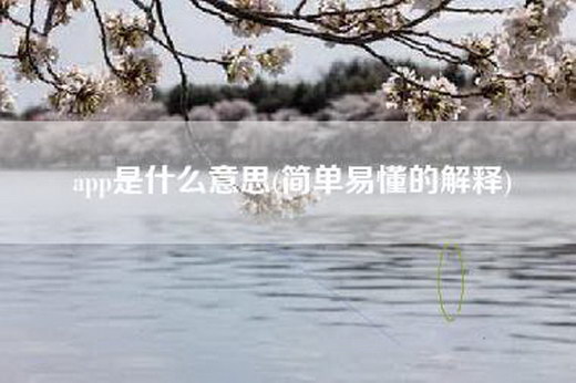 app是什么意思(简单易懂的解释)