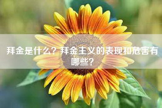 拜金是什么？拜金主义的表现和危害有哪些？