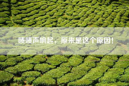 啧啧声响起，原来是这个原因！
