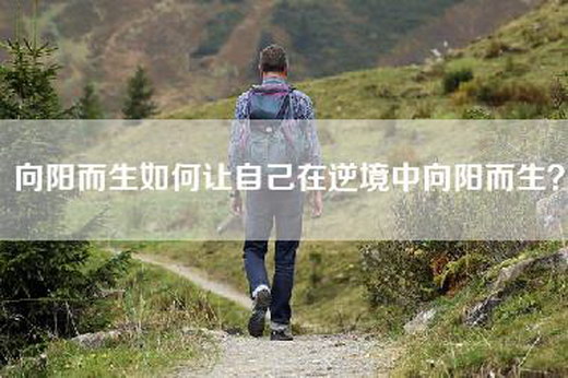 向阳而生如何让自己在逆境中向阳而生？