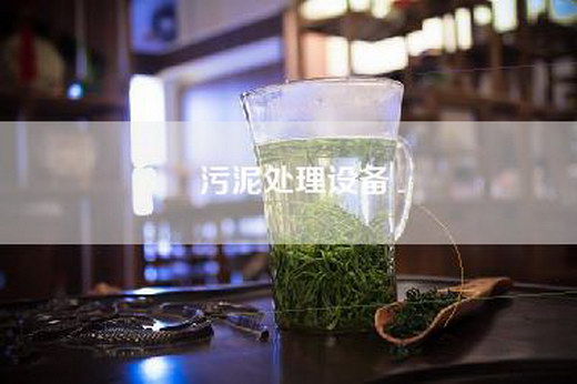 污泥处理设备