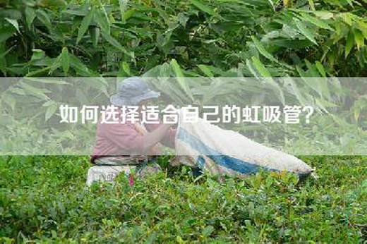 如何选择适合自己的虹吸管？