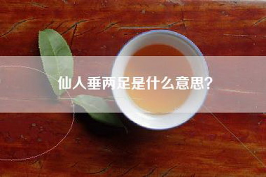 仙人垂两足是什么意思？