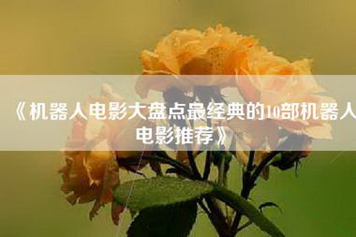 《机器人电影大盘点最经典的10部机器人电影推荐》
