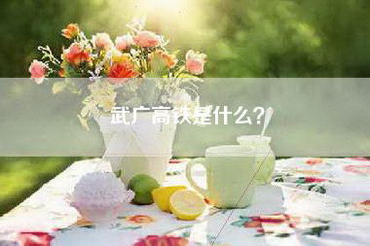 武广高铁是什么？