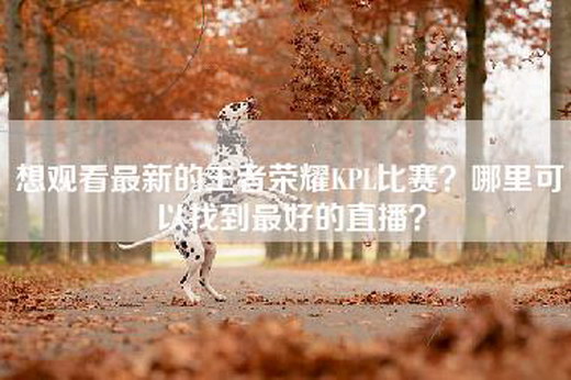 想观看最新的王者荣耀KPL比赛？哪里可以找到最好的直播？