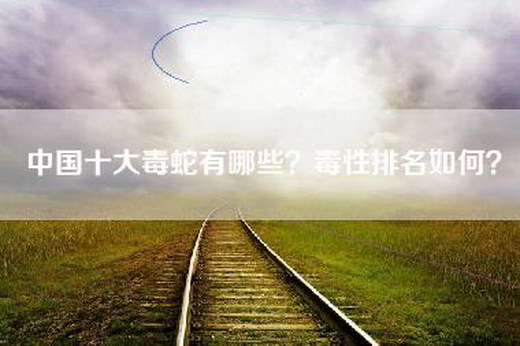 中国十大毒蛇有哪些？毒性排名如何？