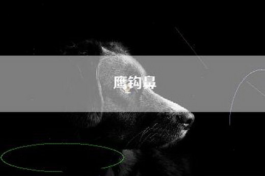 鹰钩鼻