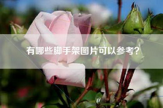 有哪些脚手架图片可以参考？