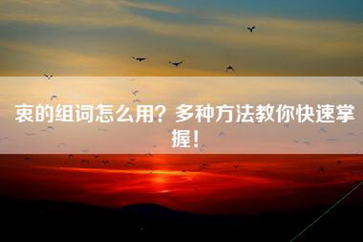 衷的组词怎么用？多种方法教你快速掌握！