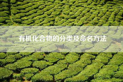 有机化合物的分类及命名方法