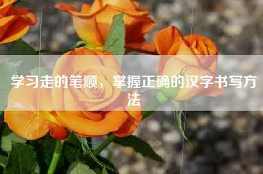 学习走的笔顺，掌握正确的汉字书写方法