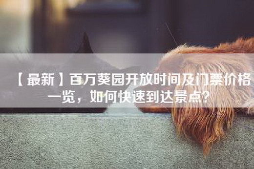 【最新】百万葵园开放时间及门票价格一览，如何快速到达景点？
