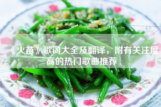 《火苗》歌词大全及翻译，附有关注度高的热门歌曲推荐