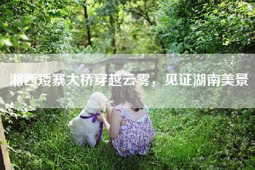 湘西矮寨大桥穿越云雾，见证湖南美景