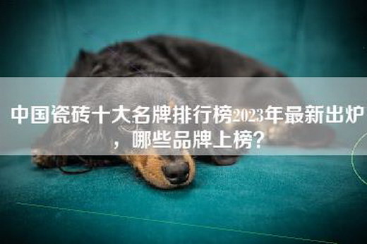 中国瓷砖十大名牌排行榜2023年最新出炉，哪些品牌上榜？