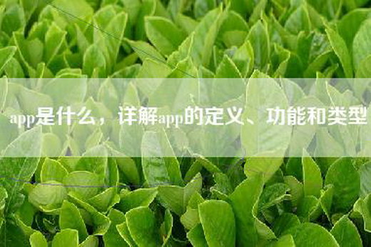 app是什么，详解app的定义、功能和类型
