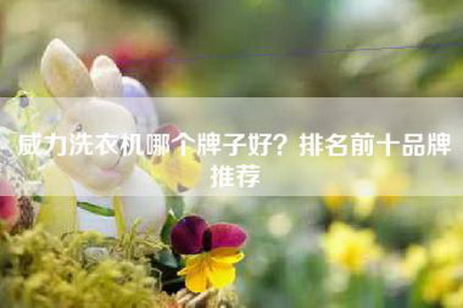 威力洗衣机哪个牌子好？排名前十品牌推荐