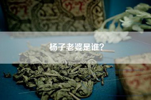 杨子老婆是谁？