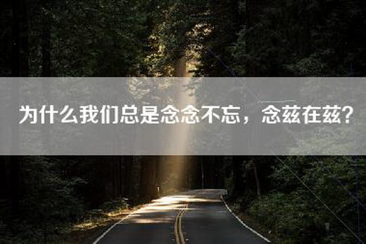 为什么我们总是念念不忘，念兹在兹？