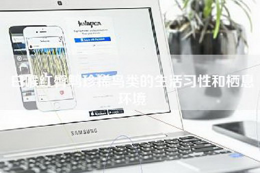 白喉红臀鹎珍稀鸟类的生活习性和栖息环境