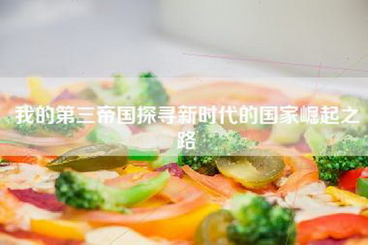 我的第三帝国探寻新时代的国家崛起之路