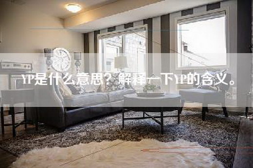 YP是什么意思？解释一下YP的含义。
