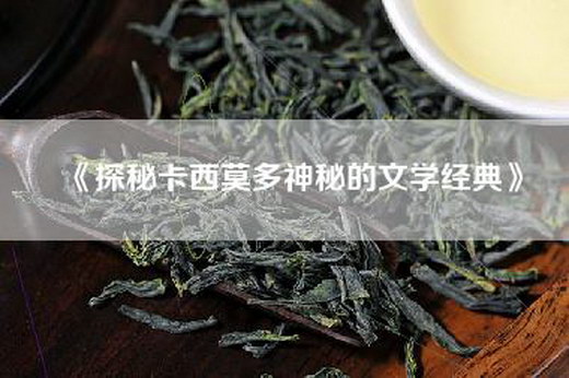 《探秘卡西莫多神秘的文学经典》