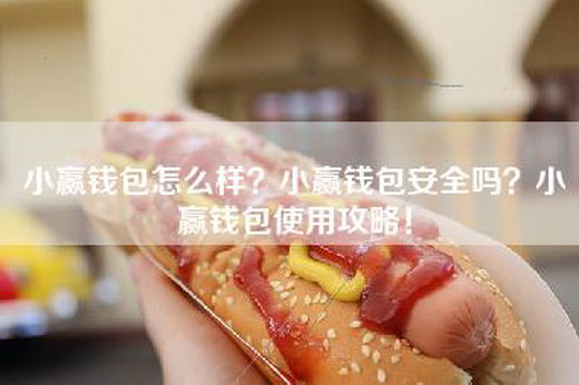 小赢钱包怎么样？小赢钱包安全吗？小赢钱包使用攻略！