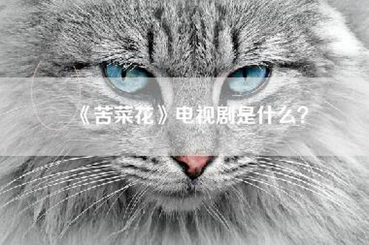 《苦菜花》电视剧是什么？