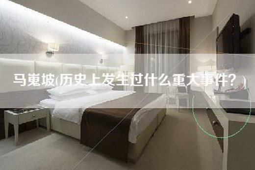 马嵬坡(历史上发生过什么重大事件？)