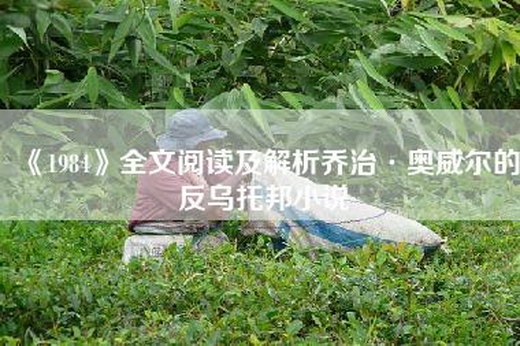 《1984》全文阅读及解析乔治·奥威尔的反乌托邦小说
