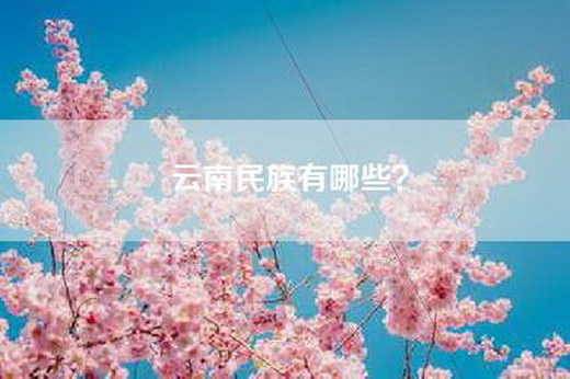 云南民族有哪些？