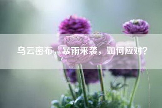 乌云密布，暴雨来袭，如何应对？