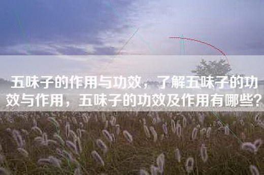 五味子的作用与功效，了解五味子的功效与作用，五味子的功效及作用有哪些？
