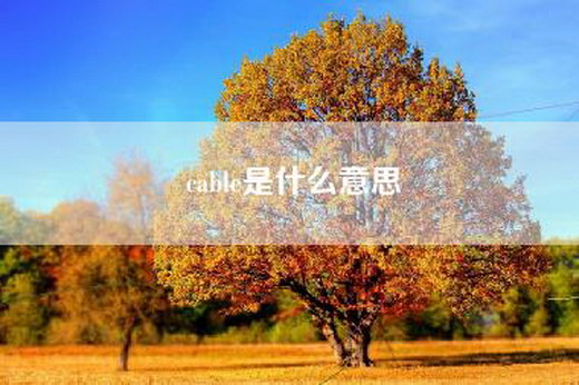 cable是什么意思