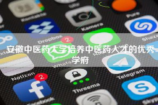安徽中医药大学培养中医药人才的优秀学府