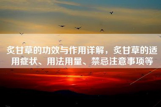 炙甘草的功效与作用详解，炙甘草的适用症状、用法用量、禁忌注意事项等