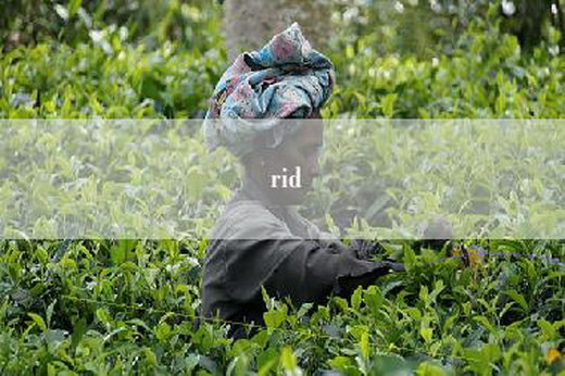 rid