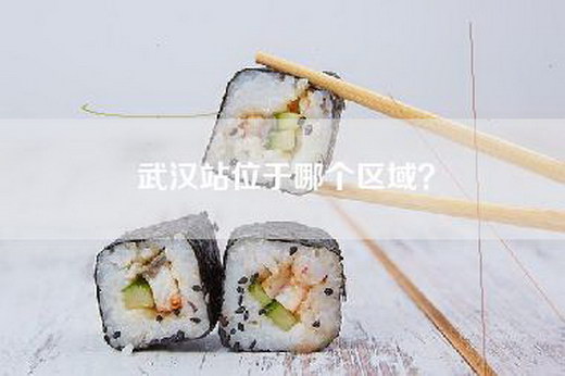 武汉站位于哪个区域？