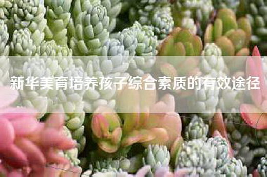 新华美育培养孩子综合素质的有效途径