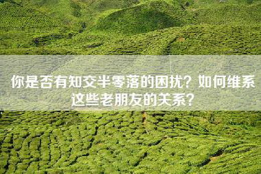 你是否有知交半零落的困扰？如何维系这些老朋友的关系？