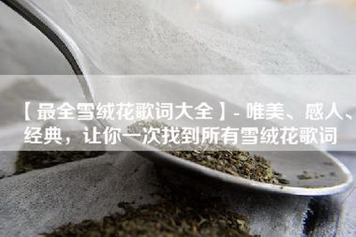 【最全雪绒花歌词大全】- 唯美、感人、经典，让你一次找到所有雪绒花歌词